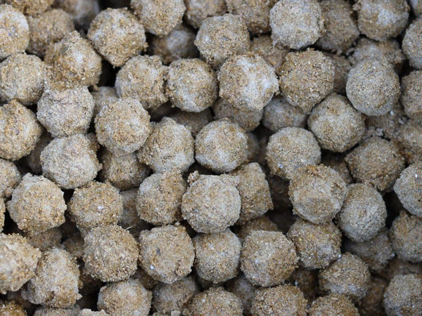 Boilies mit explosiver Kruste