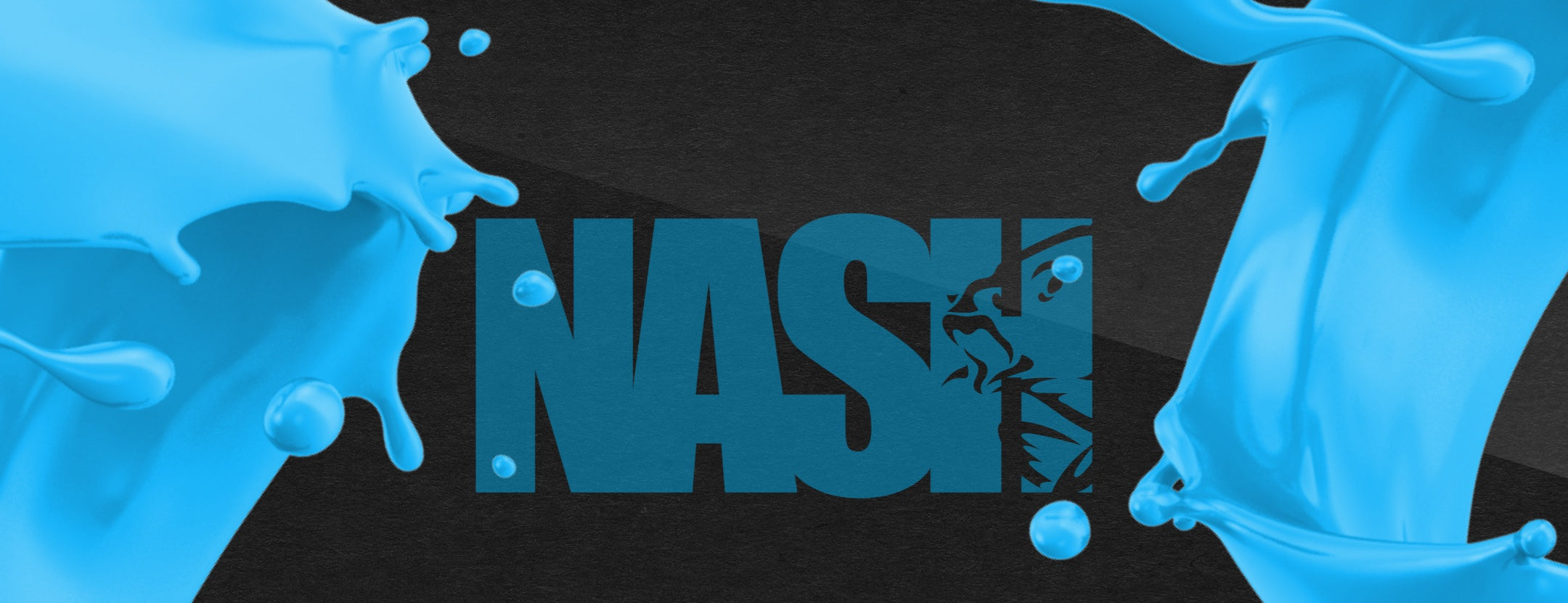 Nash Liquids