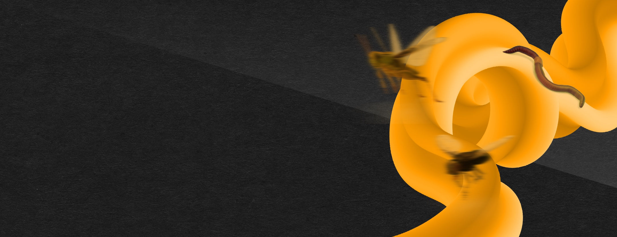 Hier sieht man einen Banner, indem zentriert die Überschrift Insekten steht. Darunter natural carpfood to success. Auf Banner sind verschiedene Insekten zu sehen, die vor einem schwarz-orangenem Hintergrund sind.