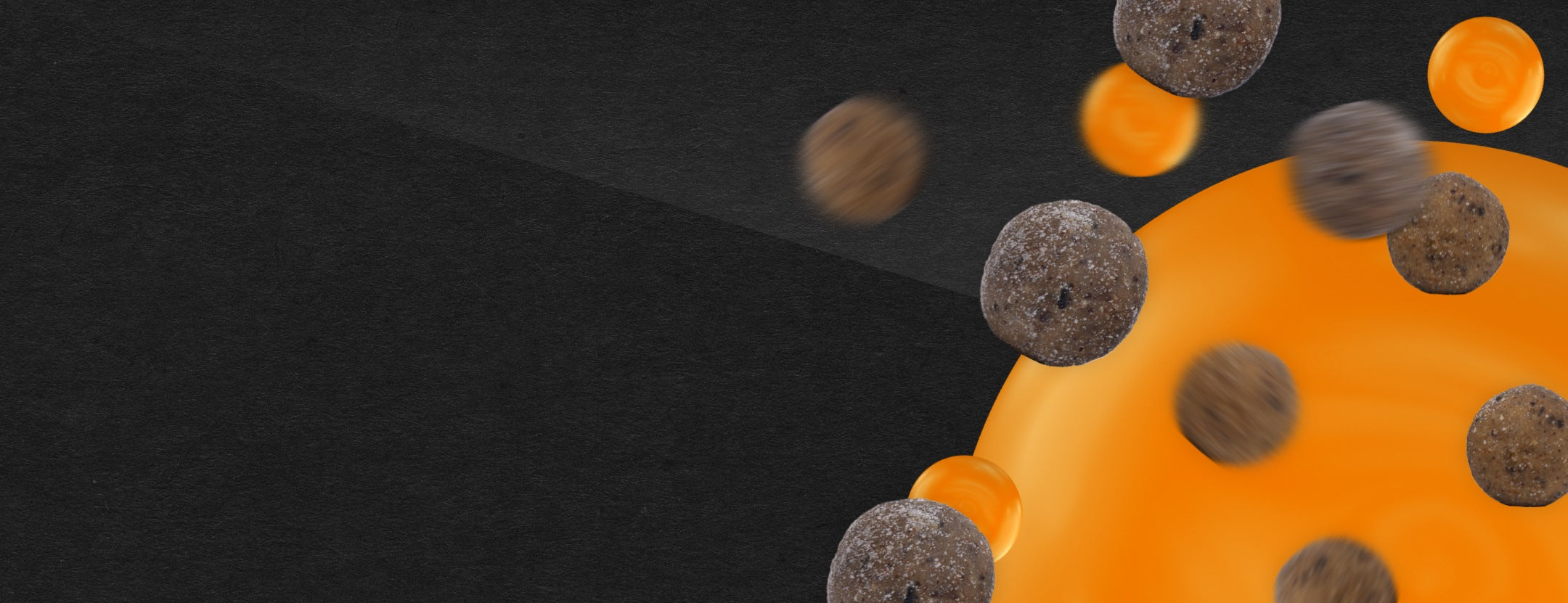 Hier fliegen runde Boilies durch das Bild und fixiert in der Mitte des Bildes ist die Überschrift Premium Boilies zu sehen. Darunter in klein der Satz the key to success. Der Hintergrund ist schwarz und orange.