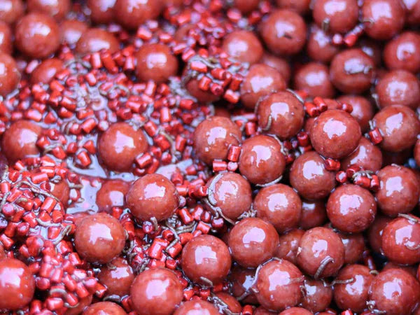 Der Bloodworm Mix