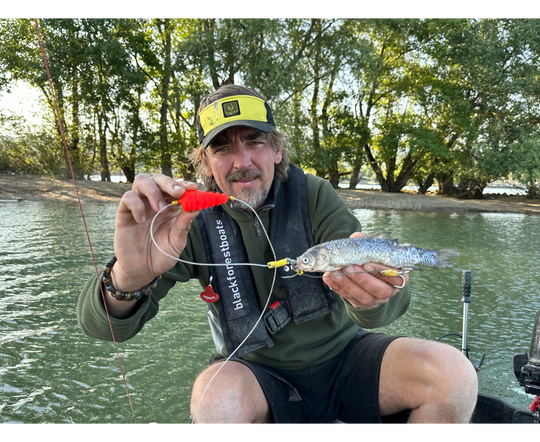 Black Cat Baitfish Tree Rig