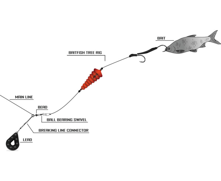 Black Cat Baitfish Tree Rig