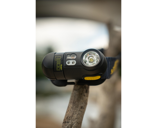 Black Cat LI600 Headtorch