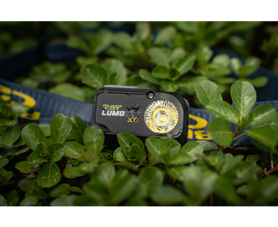Black Cat Lumo Cat 300 Headtorch