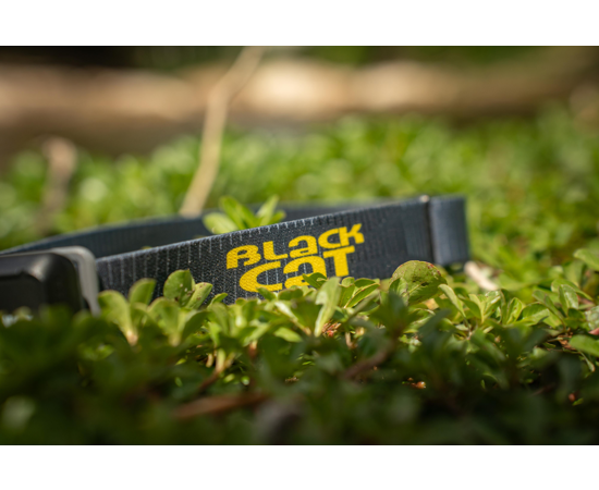 Black Cat Lumo Cat 300 Headtorch