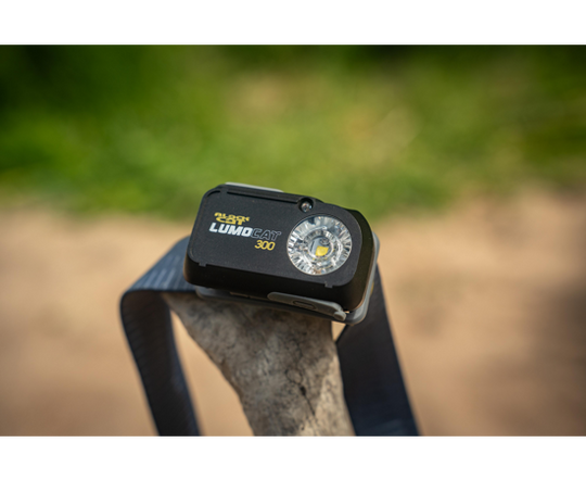 Black Cat Lumo Cat 300 Headtorch
