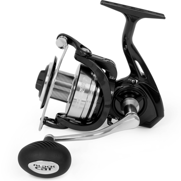 Black Cat Shadow Cat 6500