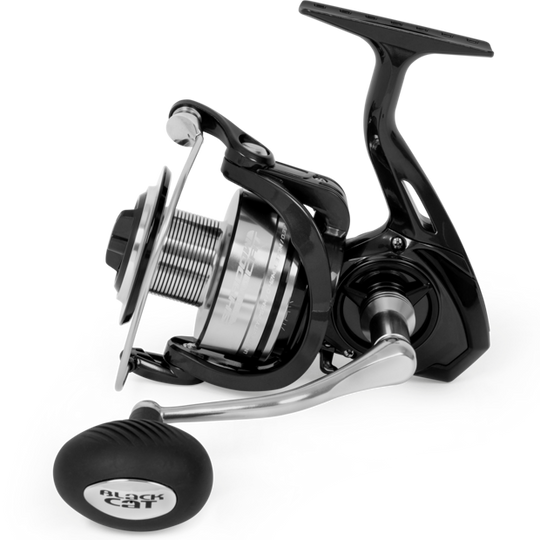 Black Cat Shadow Cat 6500