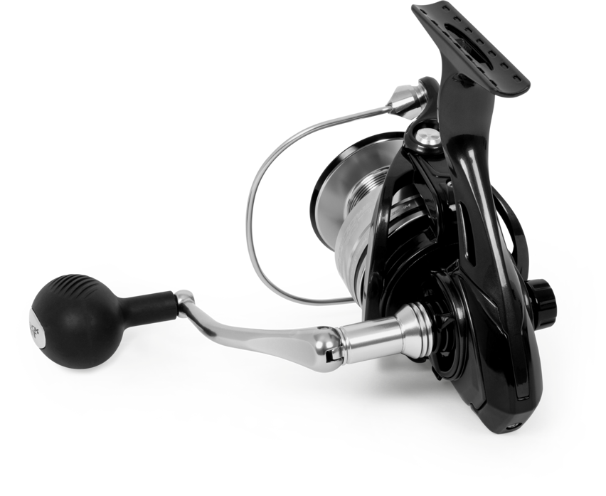 Black Cat Shadow Cat 6500