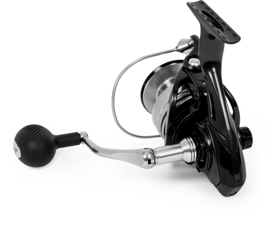 Black Cat Shadow Cat 6500