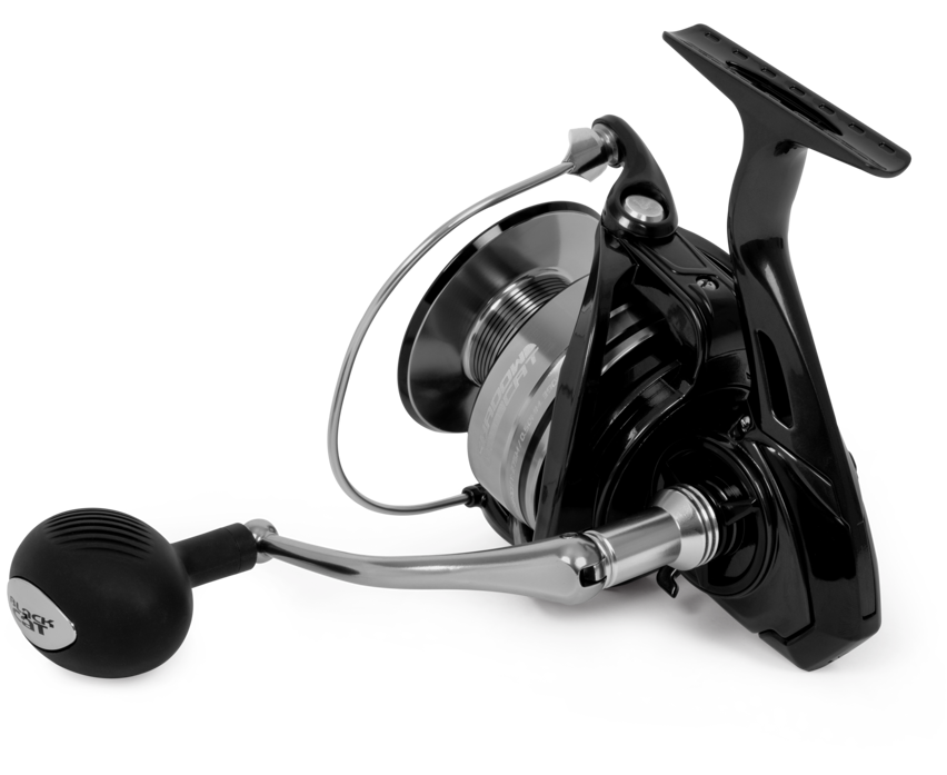 Black Cat Shadow Cat 8000