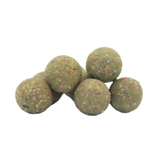 Muschel Bomb Boilie (5kg) - 5 Jahre Edition