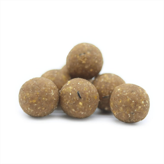 Squid Bomb Boilie (5kg)