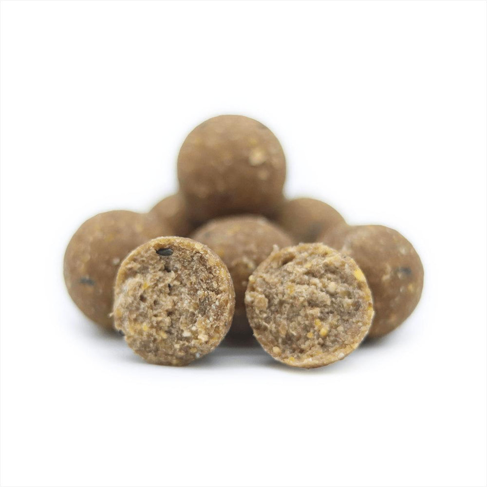 Squid Bomb Boilie (5kg)