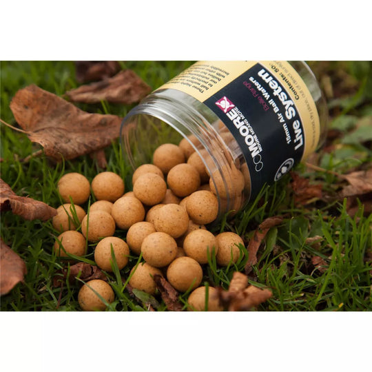 CC Moore Live System Air Ball Pop Ups