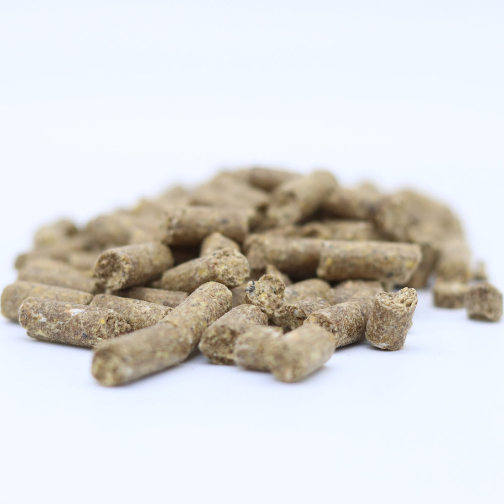 Classic Belachan Babycorn