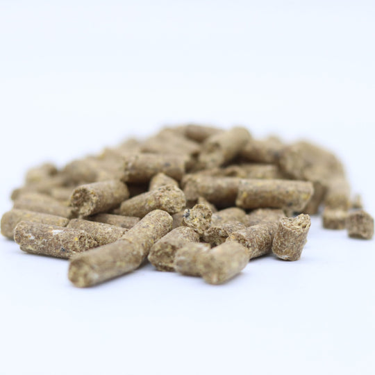 Classic Belachan Babycorn