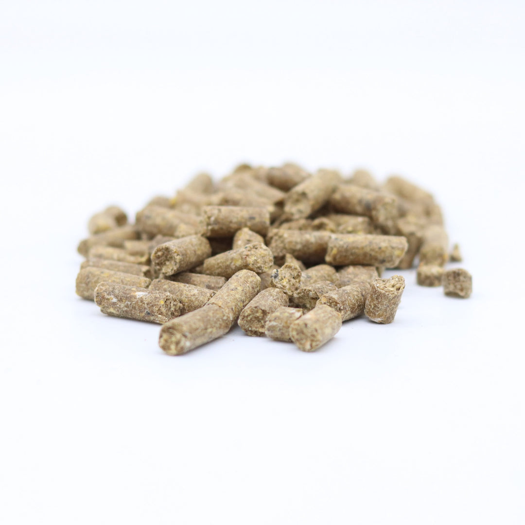 Classic Belachan Babycorn