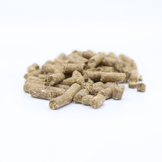 Classic Belachan Babycorn