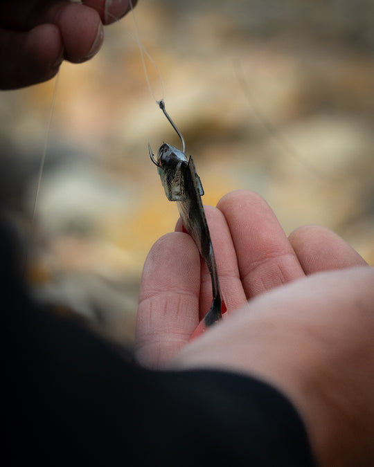 Fox Rage Ultra Natural Perch Fillet