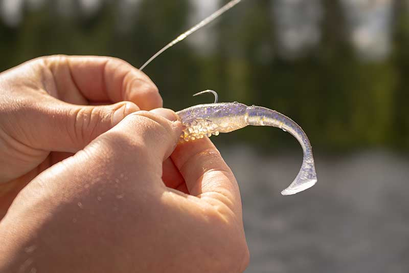 Fox Rage Scent Shad 11cm