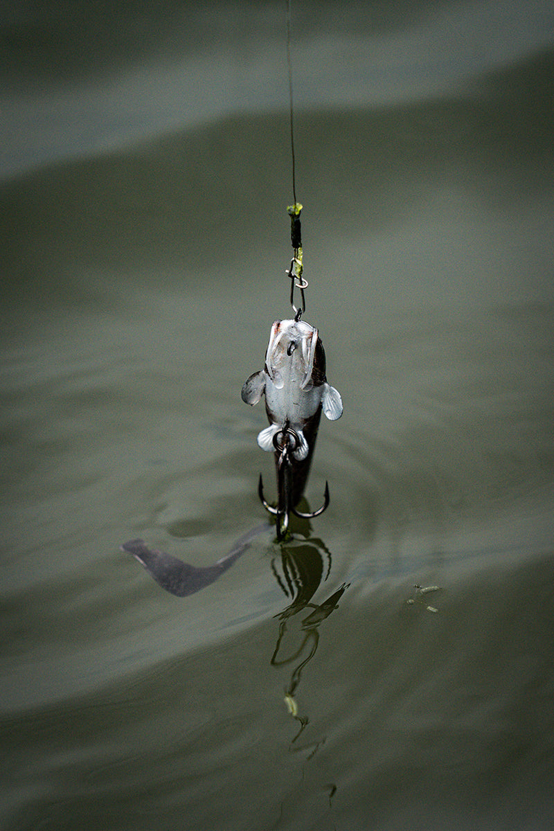 Fox Rage Ultra Natural Catfish Replicant