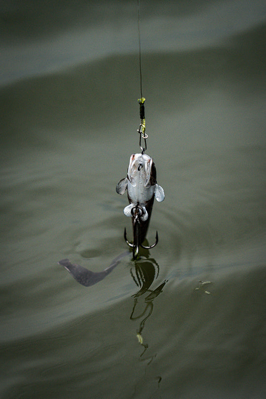 Fox Rage Ultra Natural Catfish Replicant