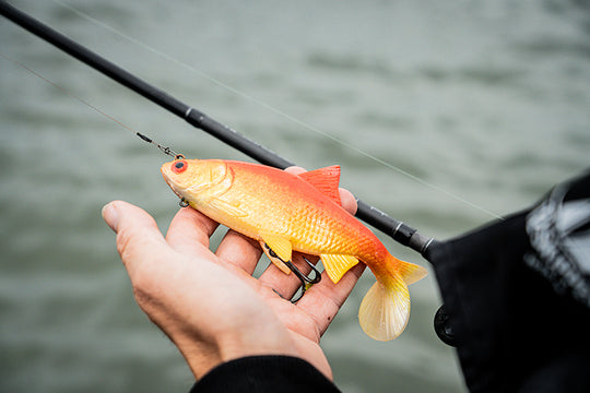 Fox Rage Ultra Realistic Replicant Golden Roach