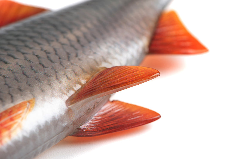 Fox Rage Ultra Realistic Replicant Natural Roach