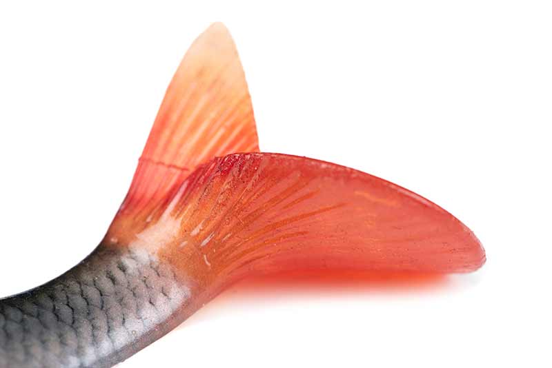Fox Rage Ultra-Realistic Roach Replicant