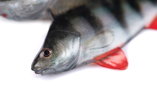 Fox Rage Ultra Natural Perch Fillet