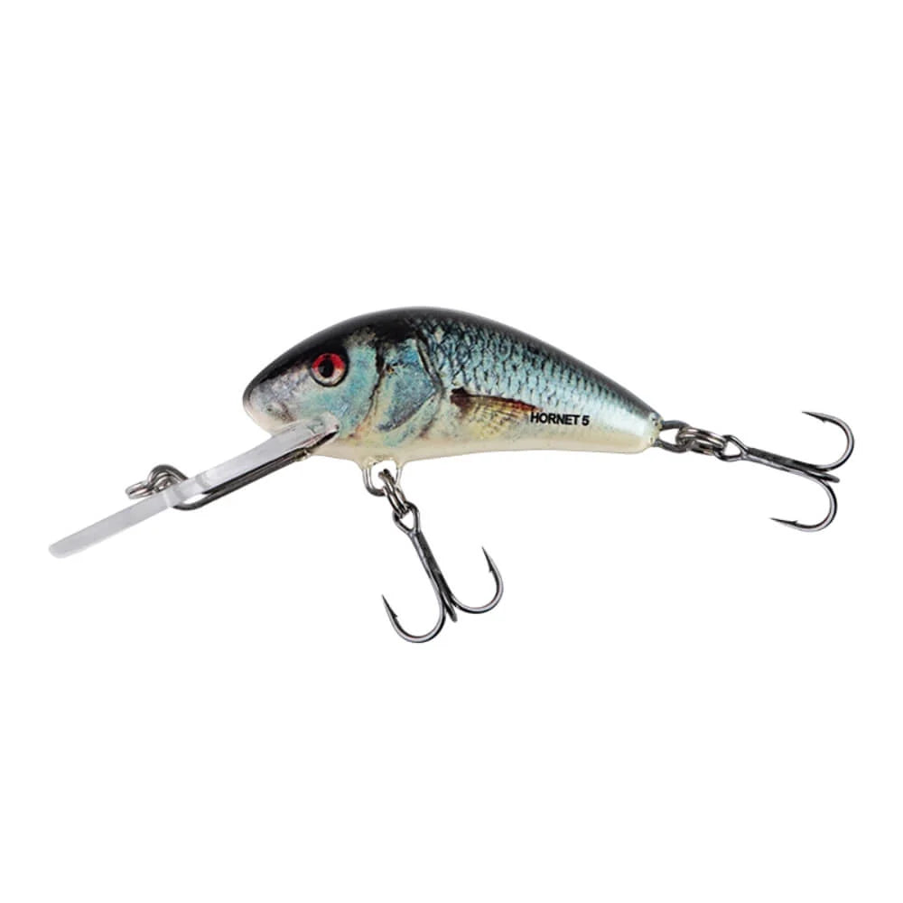 Salmo Hornet