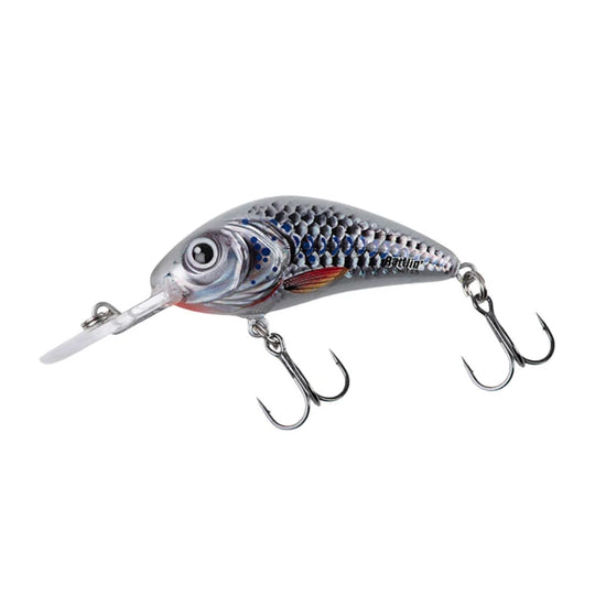 Salmo Rattlin&